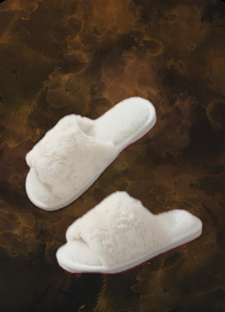 White House slippers